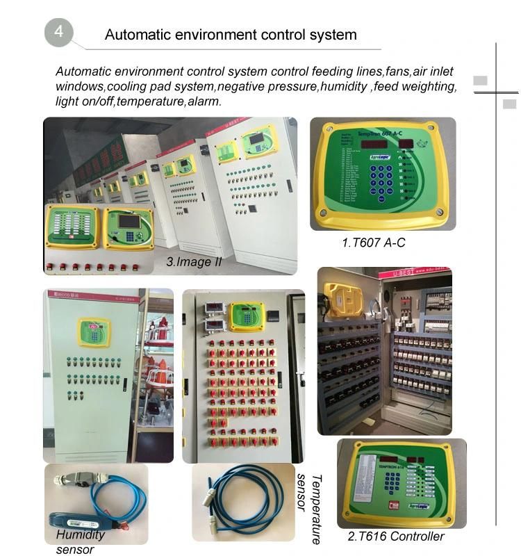 Complete Automatic Chicken House Equipment for Poultry and Broiler Farm Shed