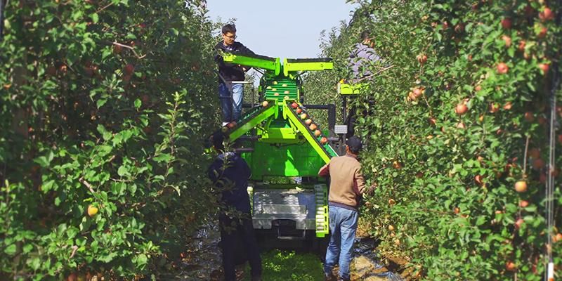 Gl-4A Wheeled Orchard Harvester Fruit Apple Picking Machine