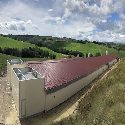 Light Prefab/Prefabricated High Tech Automatic Steel Chicken Farm