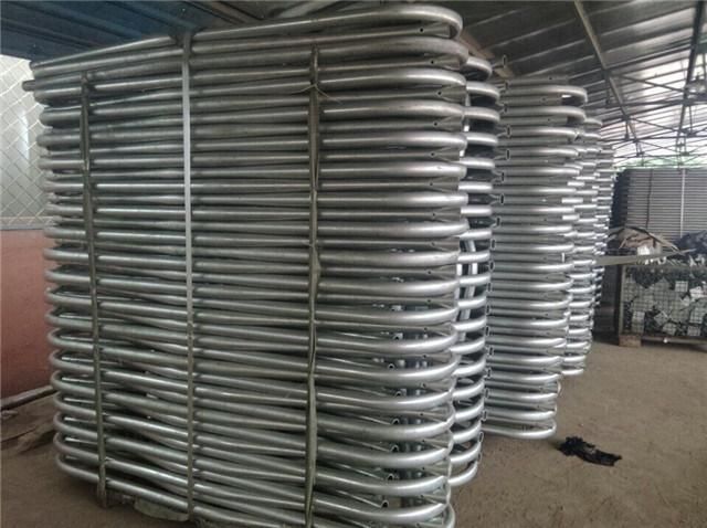 Cow Comfortable Barn Cattle Farm Equipment Cow Free Stall