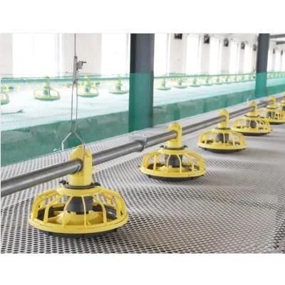 Automatic Poultry Closed House System Chicken Broiler Farm Equipment