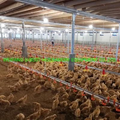 Fast Build Steel Structure Poultry House for Bird Chicken
