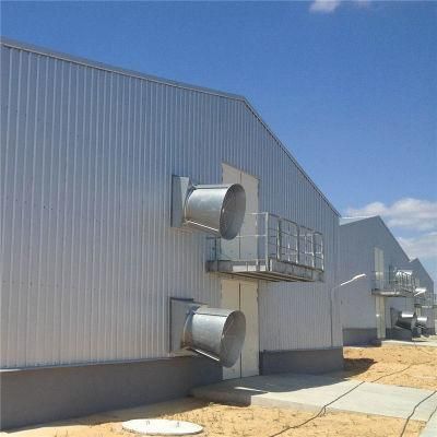 Automatic Hot Sale Scientific Designed Factory Price Poultry Farm Equipment