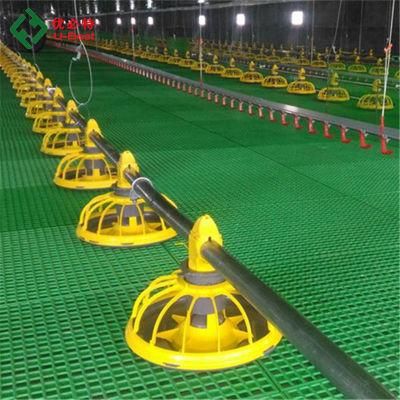 Broiler Floor Raising Chicken Farming/Farm Feeding System Automatic Poultry Machine/Equipment