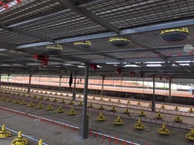 New Poultry Farm Automatic Baby Chicken Flat Raising Equipment