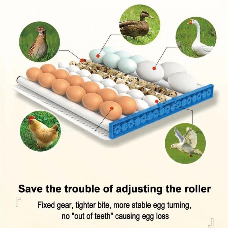 Fully Automatic Digital Poultry Hatching Machine Egg Incubator Breeder for Chicken Ducks Birds