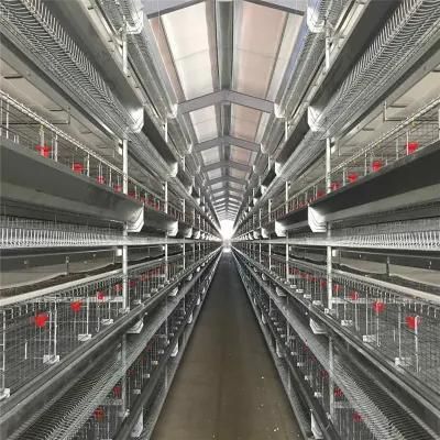 Automatic Poultry Farm Layer Cages Poultry Equipment