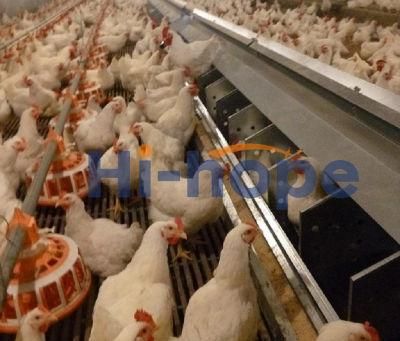 Modern Poultry Automatic Chicken Breeder Equipment with Automatic Egg Nest System