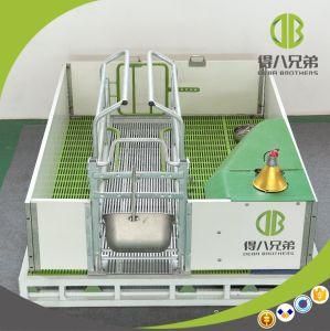 2017 New Hot DIP Galvanized Farrowing Pen for Pig Farm