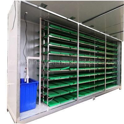 Mung Bean Hydroponic Sprout Growing Machine For 250kg