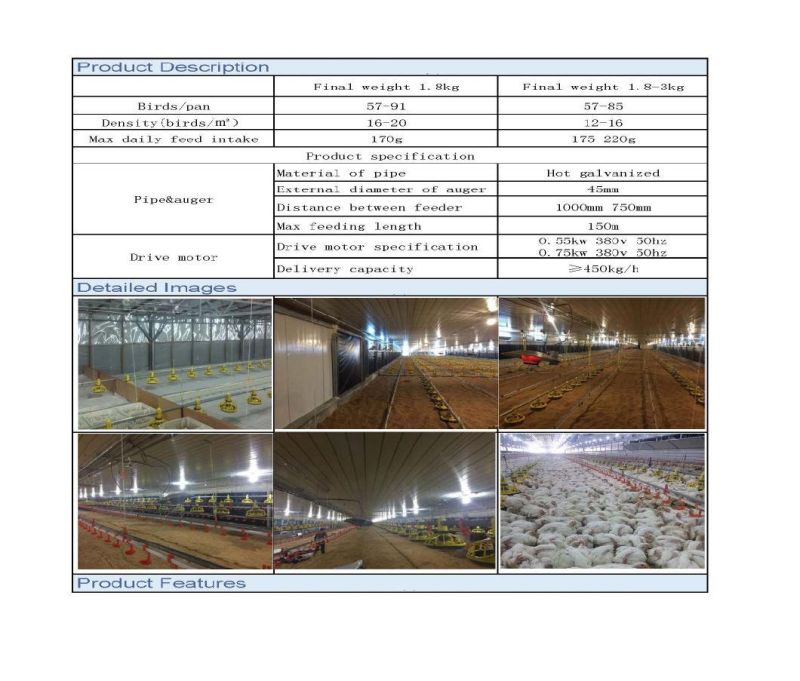 Xinguangzheng Designed Broiler Equipment