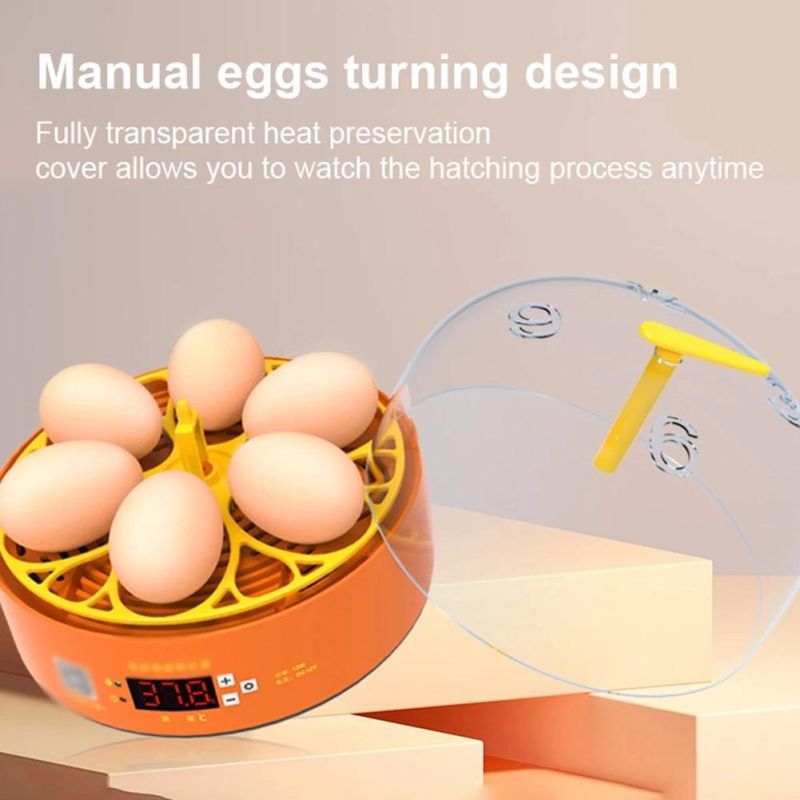 6 Eggs Fully Automatic Chicken Eggs Incubator Quail Goose Guinea Bird Egg Hatcher Household Incubators
