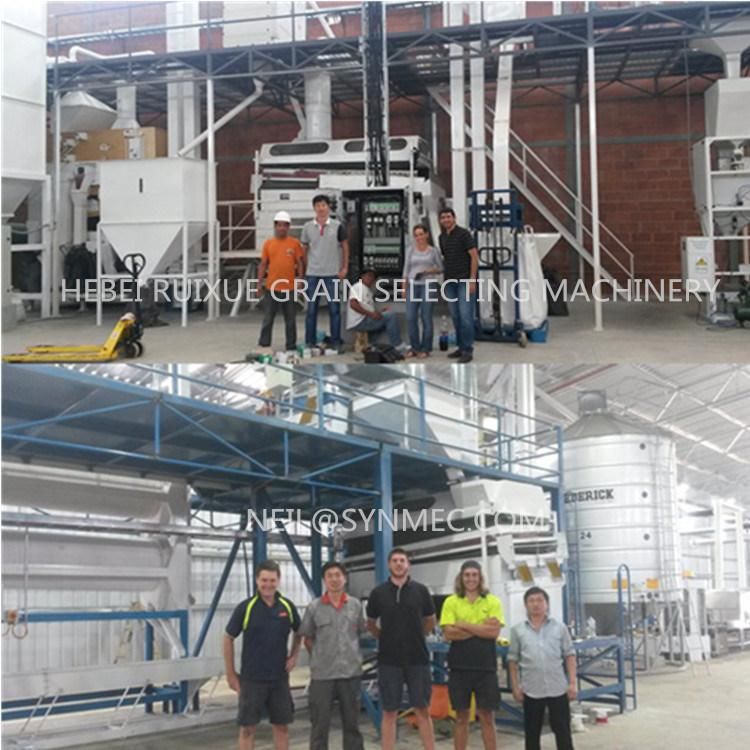 Hot Sale Bean Sesame Seed Cleaning Plant (5XZC-5X)
