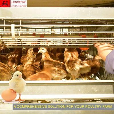 Provide on-Site Installation Instruction Poultry Farm Pullet Layer Chicken Cage