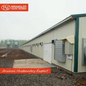 Automatic Poultry Equipment for Broiler