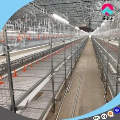 Modern Environmental Protection High Quality Cost Steel Structure Layer Cage for Sale