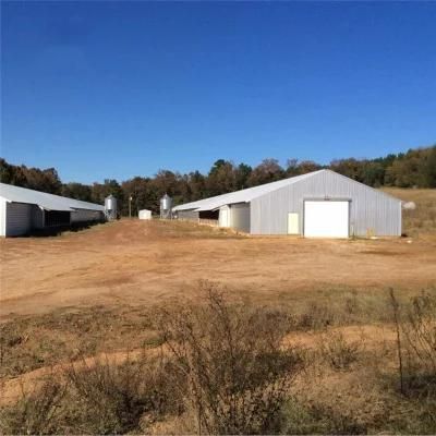 Light Prefab Steel Structural Easily Installed Simple Meat Chicken System