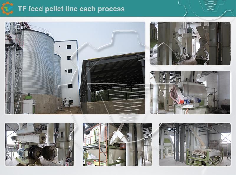 Fish Chicken Animal Feed Pellet Mill Machine, Fish Feed Mill