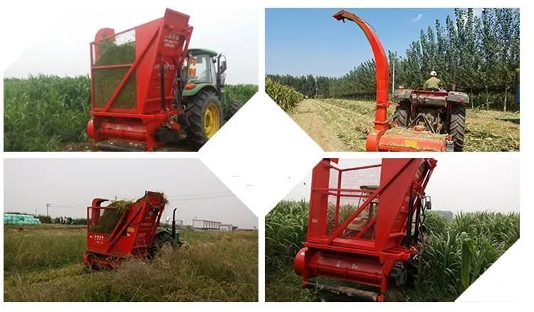 Farm Tractor Pull Behind Forage Harvester Silage Harvesting Machine with 1650mm Working Width