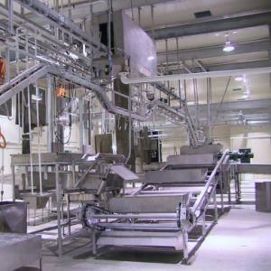 Islamic Bull Slaughter Line with Cow Butcher Abattoir Machinery