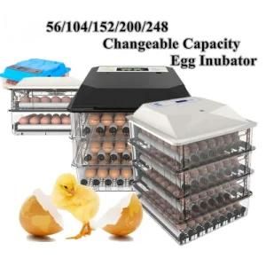 High Quality Brand Automatic Turning Small Poultry Chicken Egg Incubator