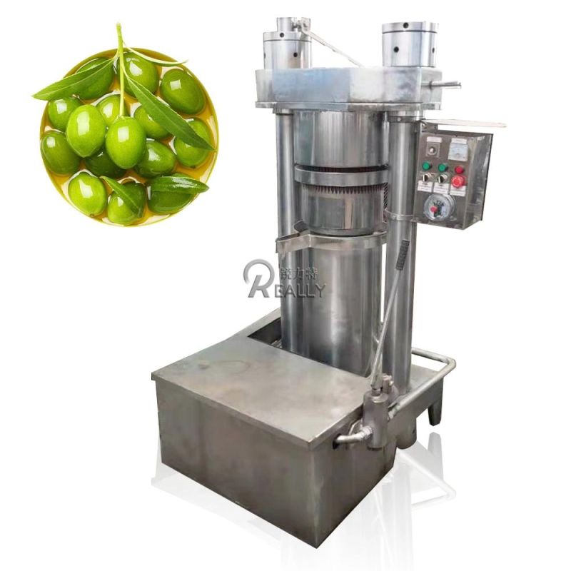 Hydraulic Cold Oil Press Machine Nuts Oil Pressing Industrial Oil Extractor Sunflower Seeds Coconut Oil Expeller Extraction