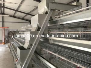 Hot Sale High Quality a Type Chicken Cage System