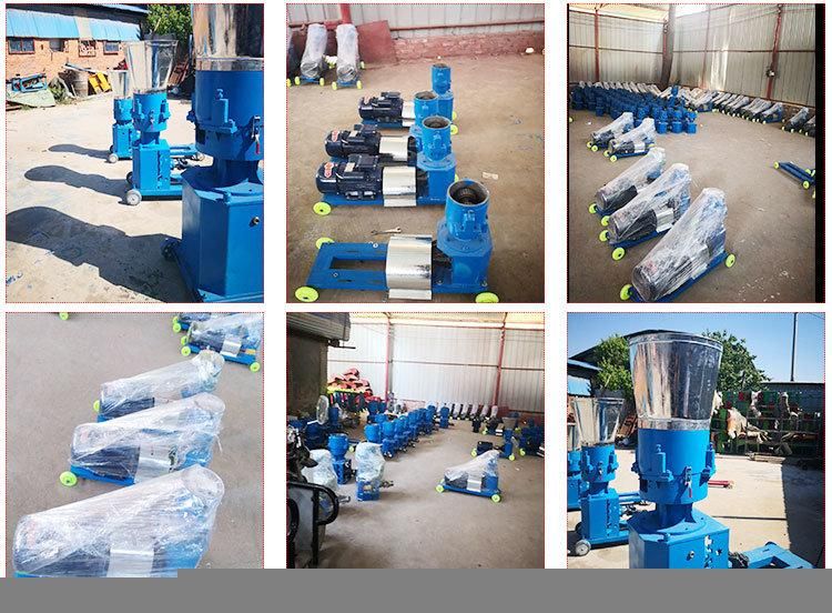 Animal-Derived Ring Die Pelleter Fish Pellet Animal Feed Processing Machine with Good Service