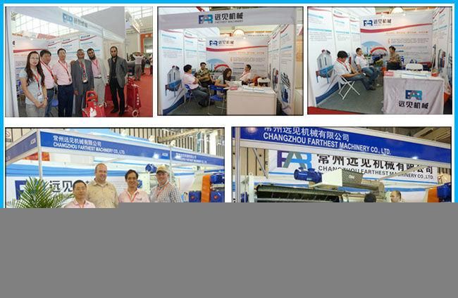 Corn Wheat and Rice Bucket Elevator for Pellet Conveying