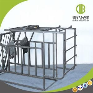 Free Individual Stall Newly Designed Modern Pig Farm Equipment