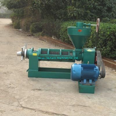 10 Ton Soybean Oil Press Machine