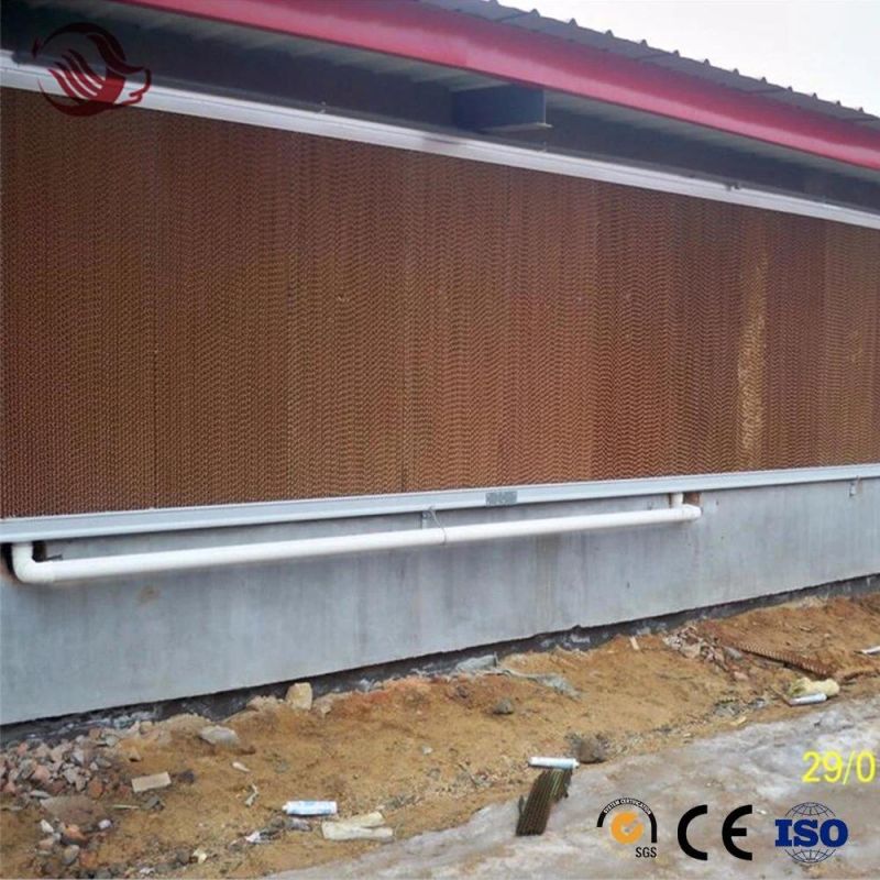 Galvanized Automatic Chicken Breeding Feeding System Equipment Feeder and Drinkers