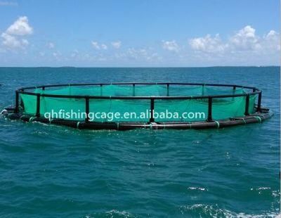 Floating Fish Farming Cage with Installing Service