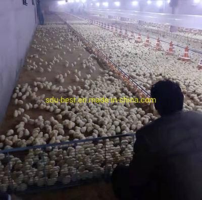 Low Price Automatic Poultry Control Shed Equipment for Chicken Broiler