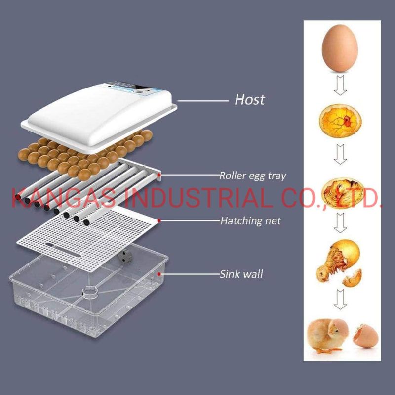 Mini Automatic Egg Incubator Chicken Duck Hatcher Laboratory Poultry Egg Incubator Temperature Hatchery Machine