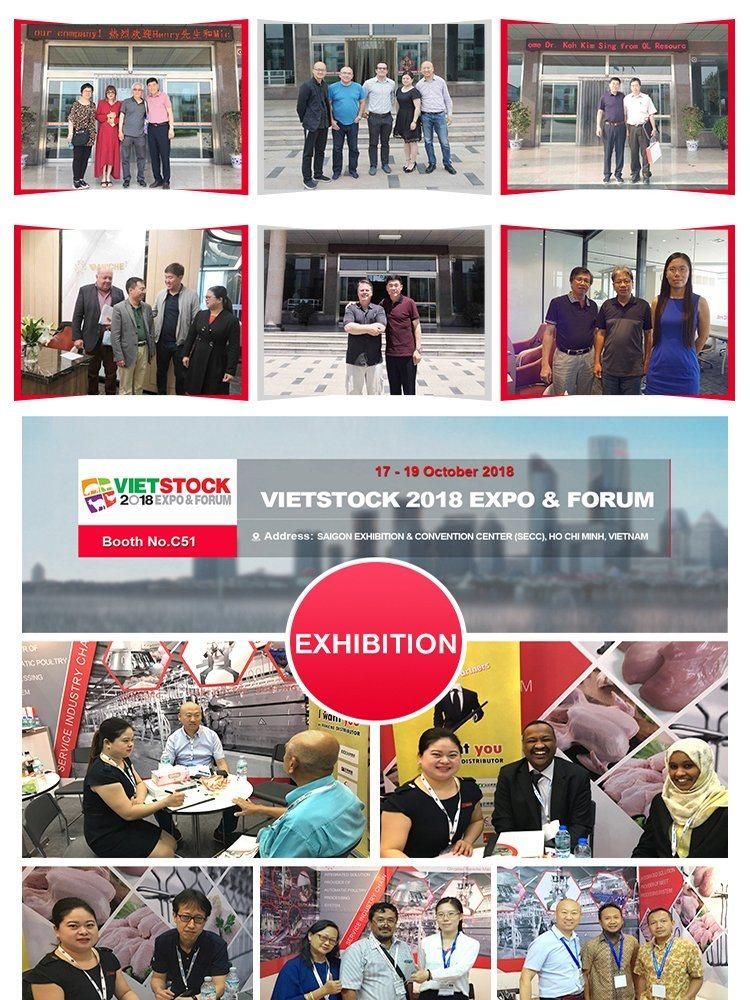 Halal Poultry Abattoir Production Plant Equipment