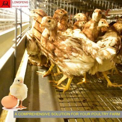 Milking Machine Pullet Layer Chicken Cage with 1 Year Warranty