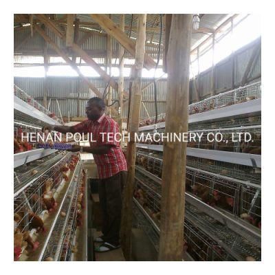 Cheap Price Galvanized Wire Mesh Cage Chicken Cage with Automatic Water System for Poultry Farm