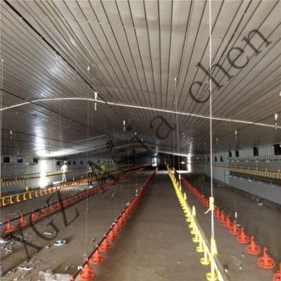 Asia Chen Design Sell Well Broiler Equipment
