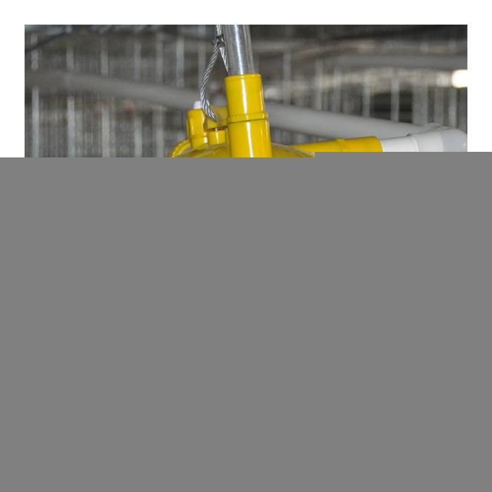 Automatic Chicken Layer Cages with Manure Cleaning System for Layer Chicken Feed