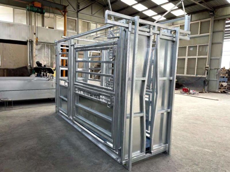 Hot DIP Galvanized Epidemic Prevention Hoof Trimming Weight Cattle Crush Cattle Squeeze