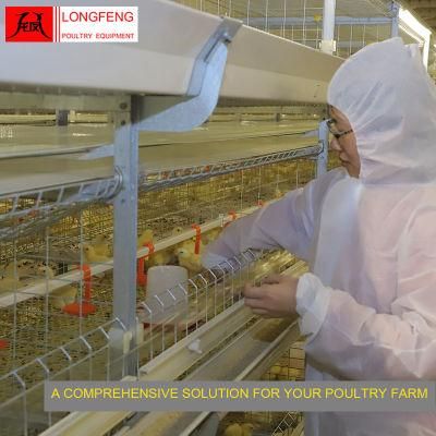 Adapted to All Climatic Conditions Hatching Machine Broiler Chicken Cage