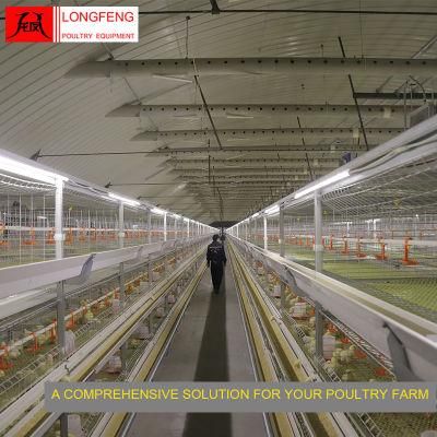 Durable and Sturdy Mature Design Longfeng Egg Broiler Chicken Cage