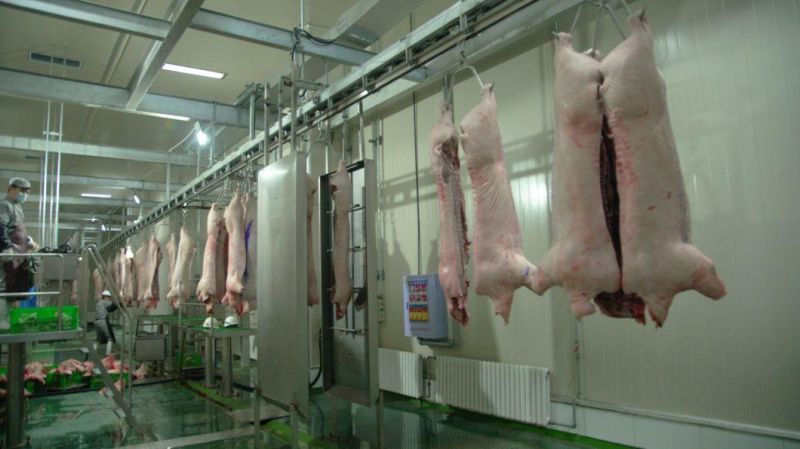 ISO9001 Washer Cleaning Machine Pig Slaughtering Equipment