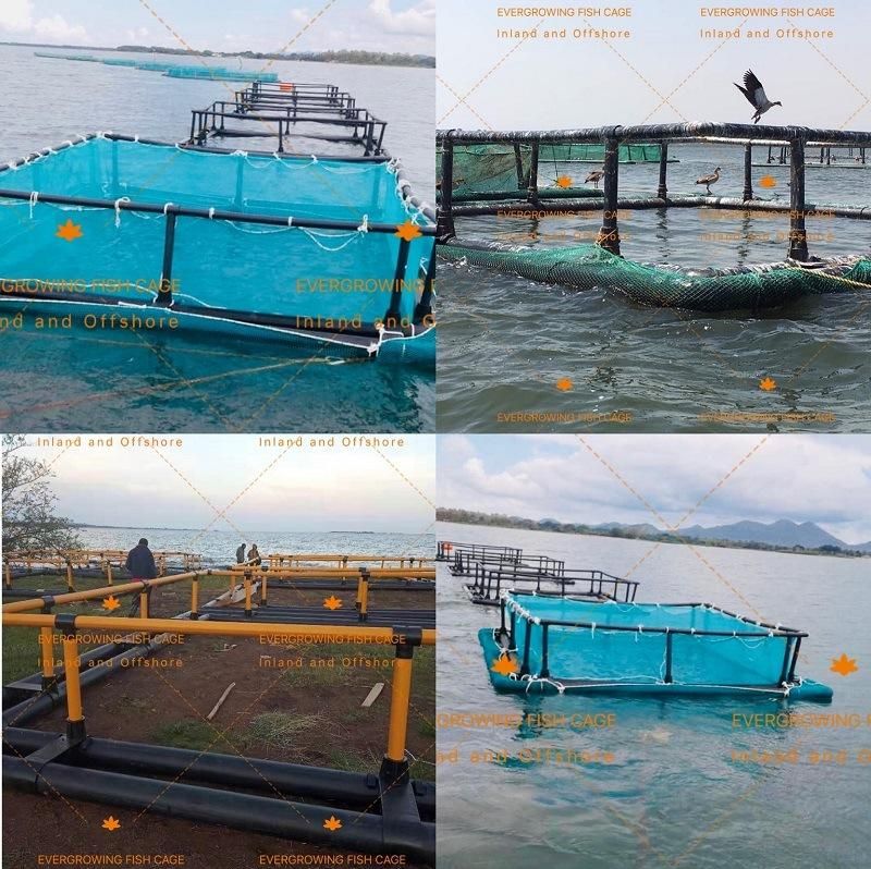 Aquaculture Square Fish Farming Net Cage
