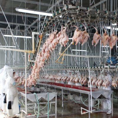 Qingdao Raniche Chicken Killing Tool Slaughtering by Hand Machine South Africa