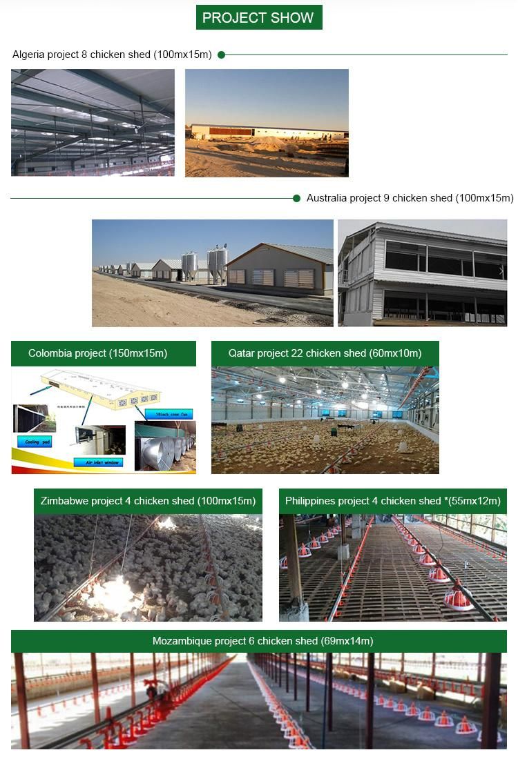 Modern Chicken Farm in Kenya Automatic Poultry Equipment