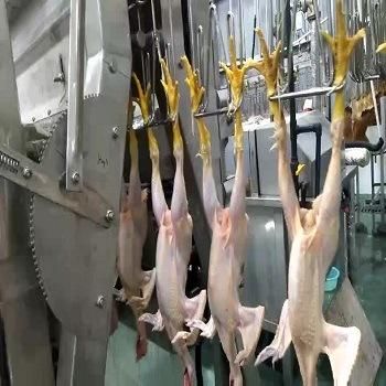 1000/2000/3000bph Poultry Slaughtering Machine / Poultry Processing Equipment Plant