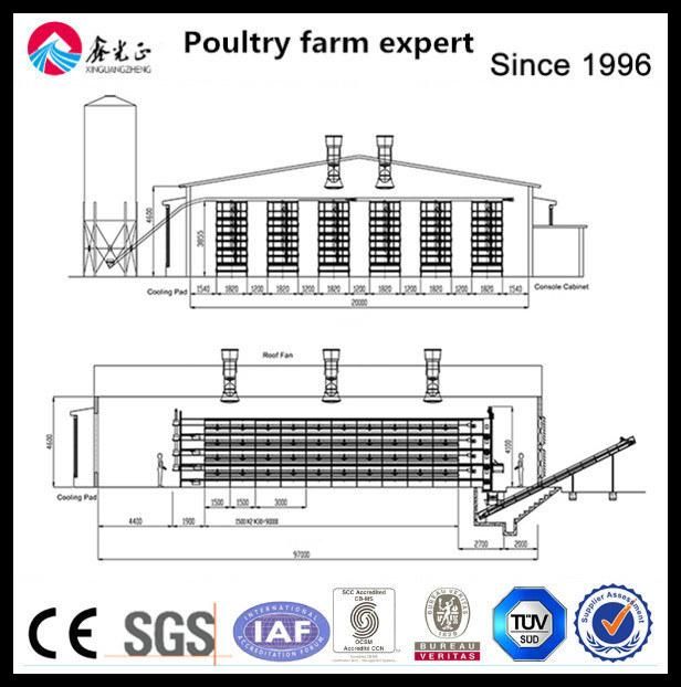 Automatic Chicken Poultry Farm Equipment Use in Chicken House