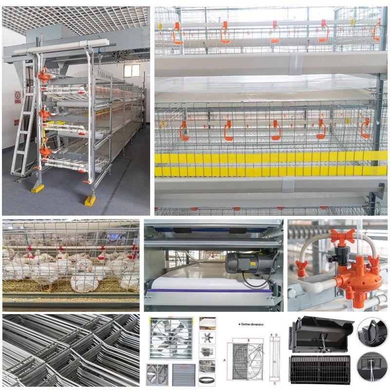 3 Tiers H Type Animal Feeder Chicken Farm Broiler Poultry Cages for Sale